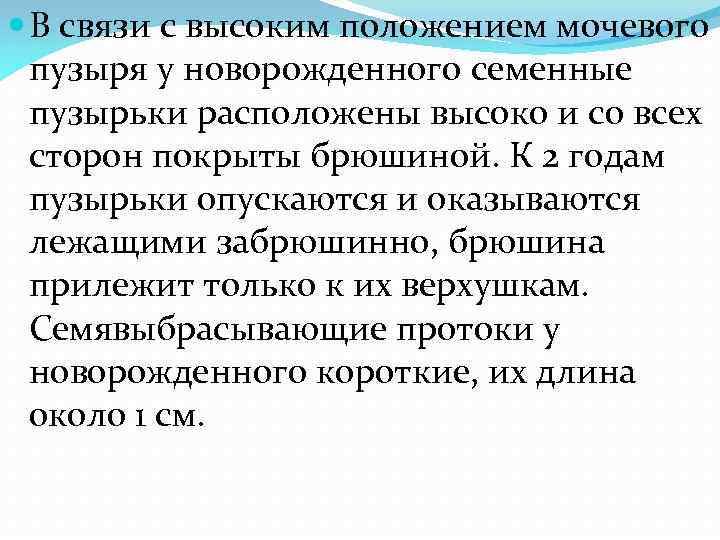  В связи с высоким положением мочевого пузыря у новорожденного семенные пузырьки расположены высоко