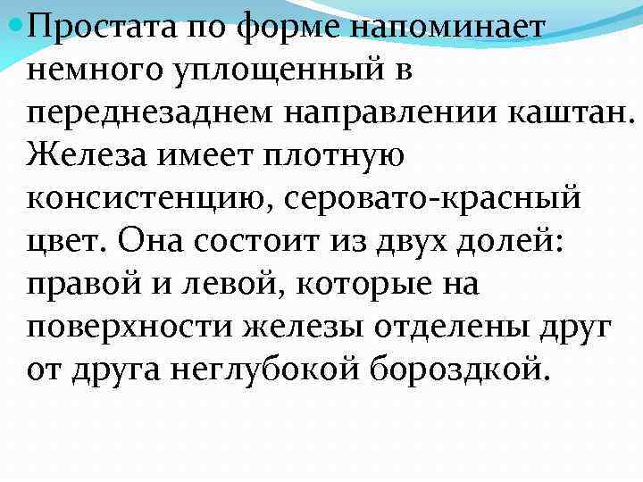  Простата по форме напоминает немного уплощенный в переднезаднем направлении каштан. Железа имеет плотную