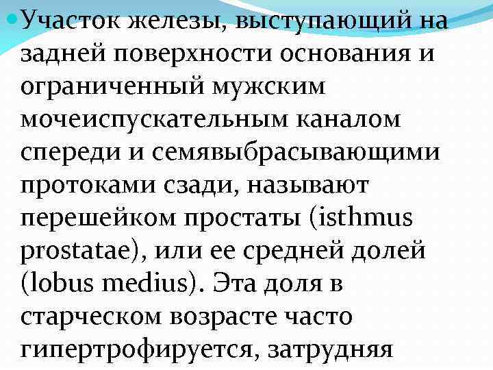  Участок железы, выступающий на задней поверхности основания и ограниченный мужским мочеиспускательным каналом спереди