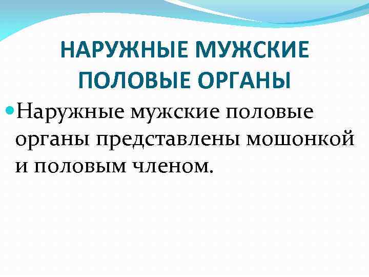 НАРУЖНЫЕ МУЖСКИЕ ПОЛОВЫЕ ОРГАНЫ Наружные мужские половые органы представлены мошонкой и половым членом. 