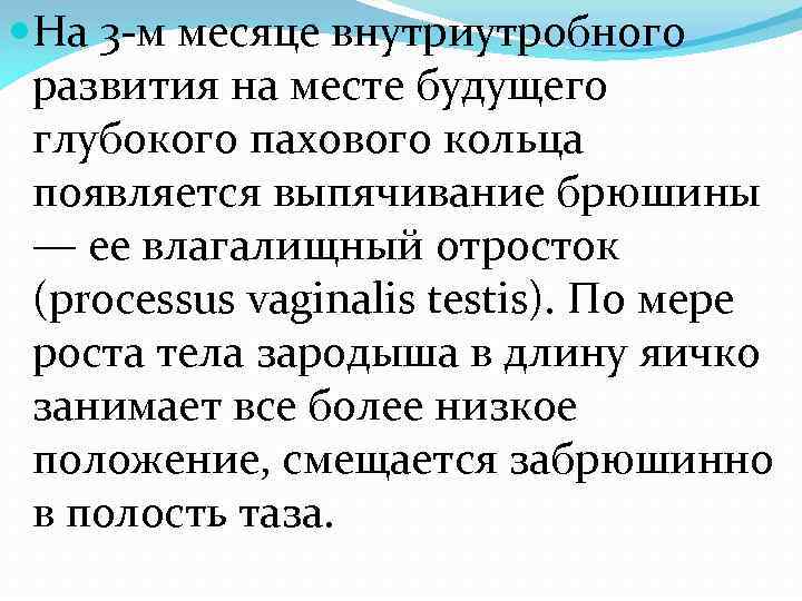  На 3 -м месяце внутриутробного развития на месте будущего глубокого пахового кольца появляется