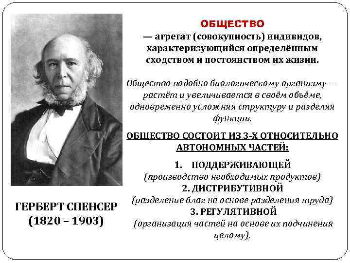 Как вы понимаете общество. Механистическая модель общества. Механическая теория общества. Классическая модель общества. Органическая модель общества.