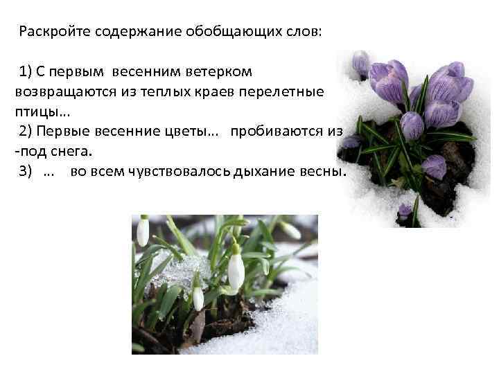  Раскройте содержание обобщающих слов: 1) С первым весенним ветерком возвращаются из теплых краев