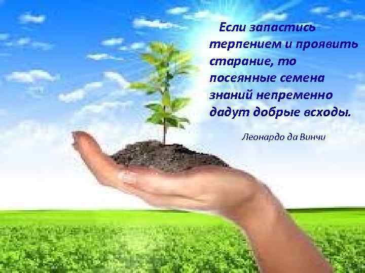 Если запастись терпением и проявить старание, то посеянные семена знаний непременно дадут добрые всходы.