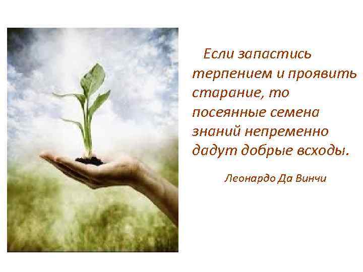 Если запастись терпением и проявить старание, то посеянные семена знаний непременно дадут добрые всходы.