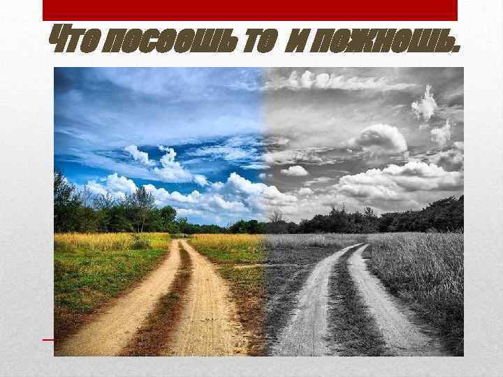 Что посеешь то и пожнешь. 