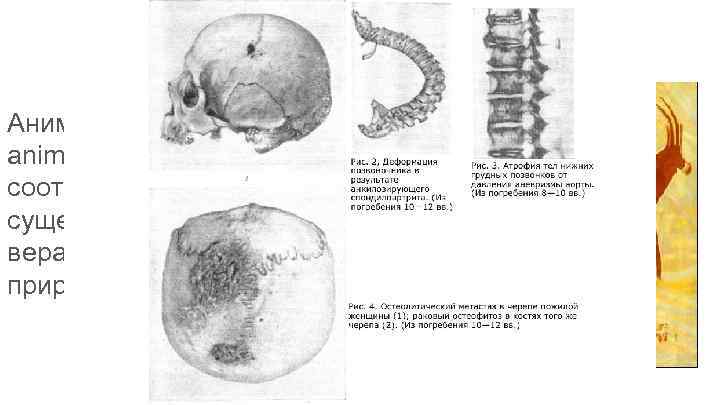 Аними зм (от лат. anima, animus — «душа» и «дух» соответственно) — вера в