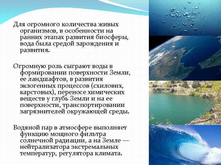 Для огромного количества живых организмов, в особенности на ранних этапах развития биосферы, вода была