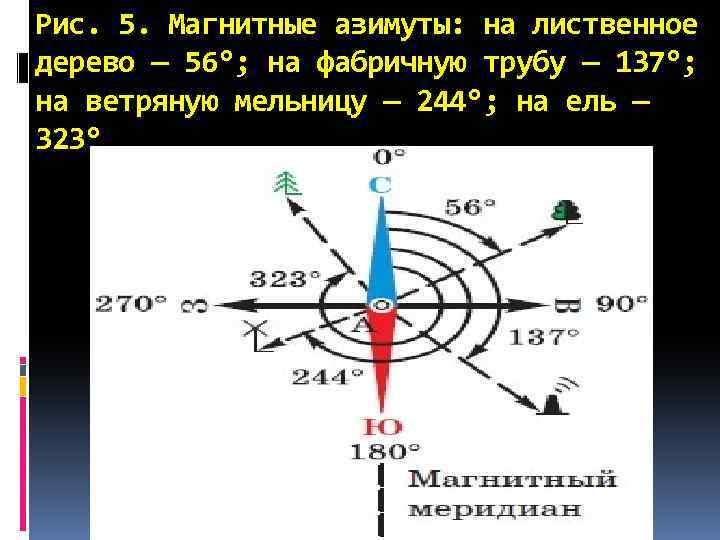 Рис. 5. Магнитные азимуты: на лиственное дерево — 56°; на фабричную трубу — 137°;