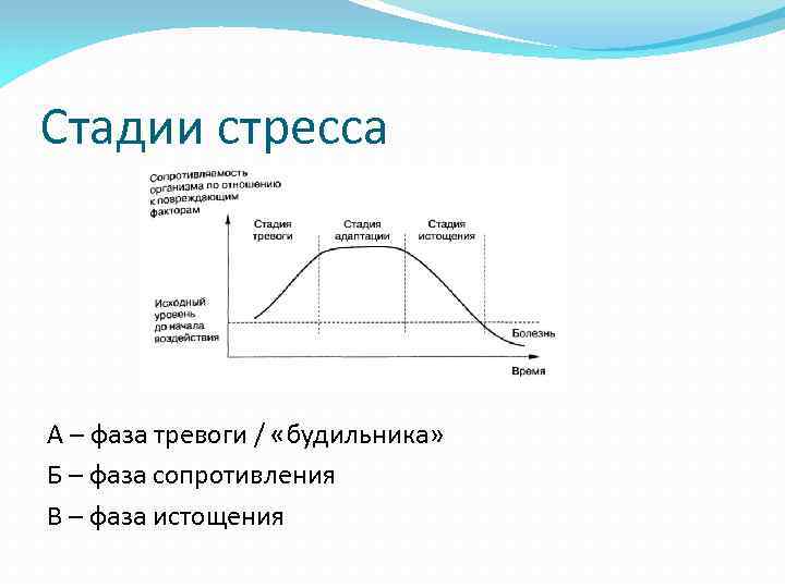 Стадии стресса А – фаза тревоги / «будильника» Б – фаза сопротивления В –