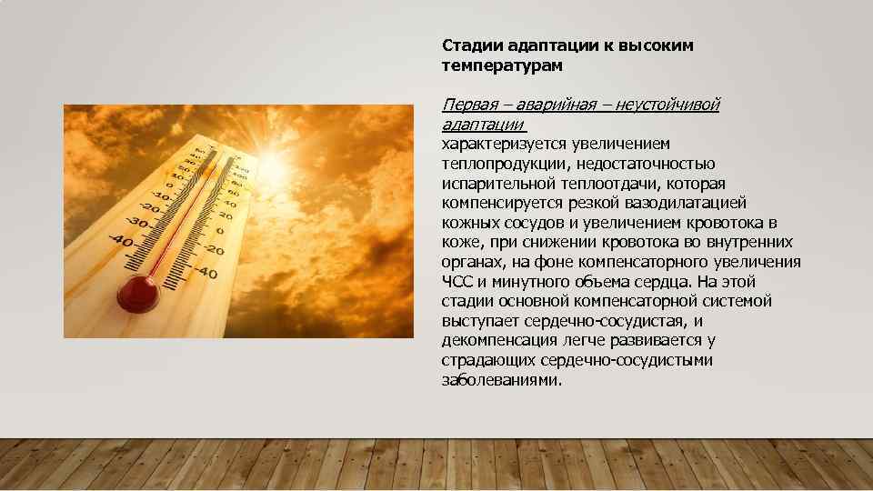 Стадии адаптации к высоким температурам Первая – аварийная – неустойчивой адаптации характеризуется увеличением теплопродукции,