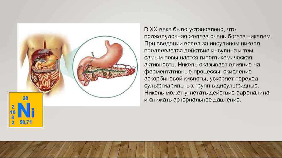 В XX веке было установлено, что поджелудочная железа очень богата никелем. При введении вслед