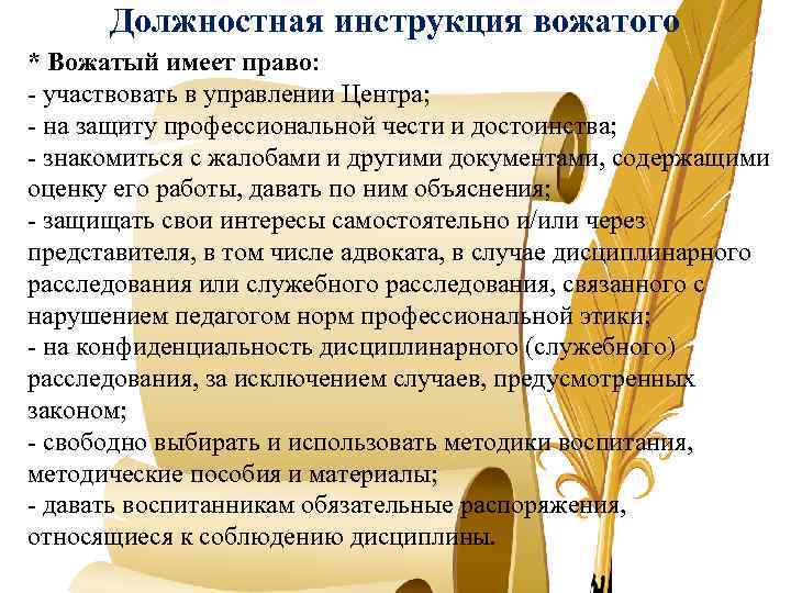 Педагогическая деятельность вожатого. Нормативно-правовые основы работы вожатого. Нормативные документы регламентирующие деятельность вожатого. Документы вожатого. Должностная инструкция вожатого детского.