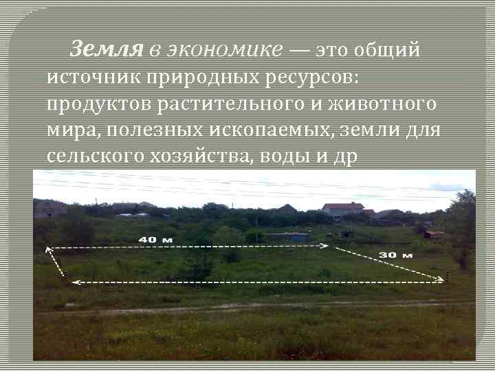 Земля в экономике — это общий источник природных ресурсов: продуктов растительного и животного мира,