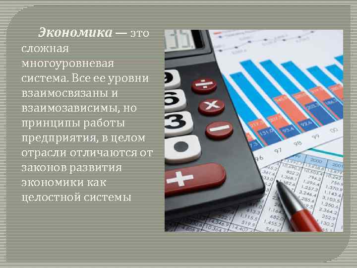 Экономика — это сложная многоуровневая система. Все ее уровни взаимосвязаны и взаимозависимы, но принципы