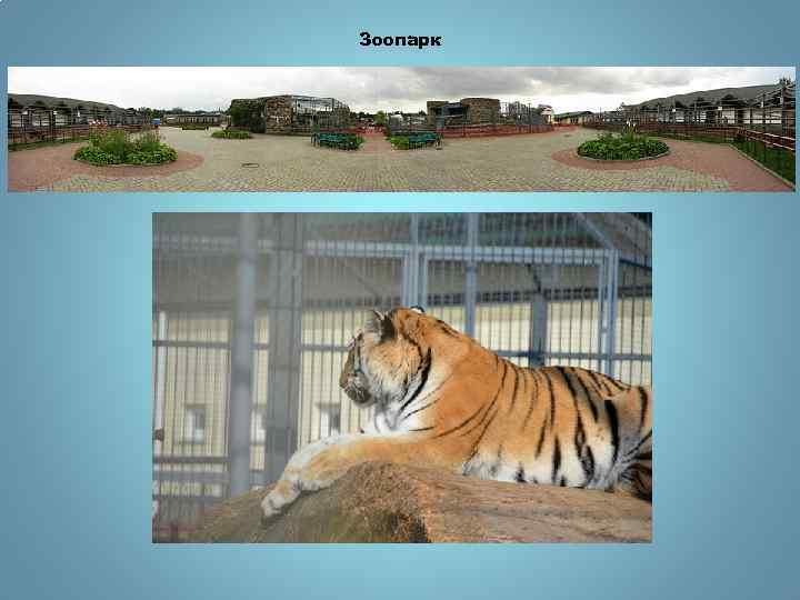 Зоопарк 