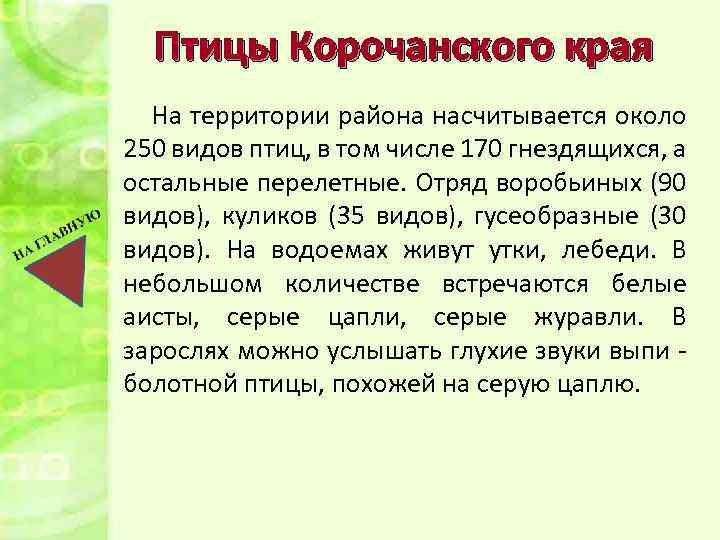 Птицы Корочанского края На территории района насчитывается около 250 видов птиц, в том числе