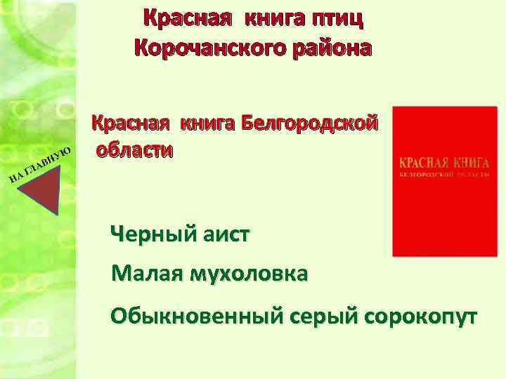 Красная книга птиц Корочанского района Красная книга Белгородской области Черный аист Малая мухоловка Обыкновенный