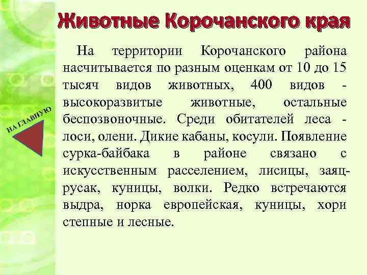 Животные Корочанского края На территории Корочанского района насчитывается по разным оценкам от 10 до