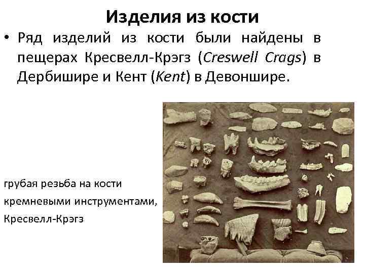 Изделия из кости • Ряд изделий из кости были найдены в пещерах Кресвелл-Крэгз (Creswell