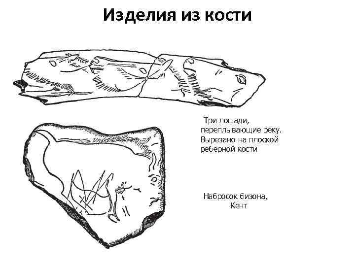 Изделия из кости Три лошади, переплывающие реку. Вырезано на плоской реберной кости Набросок бизона,