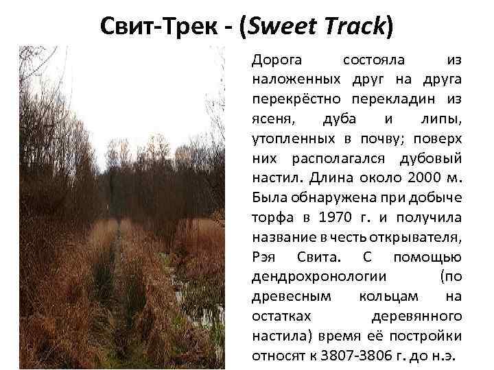Свит-Трек - (Sweet Track) Дорога состояла из наложенных друг на друга перекрёстно перекладин из