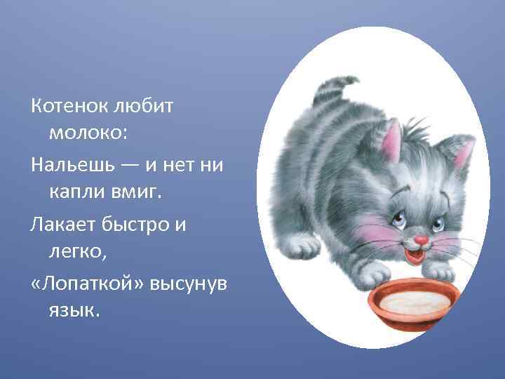 Молоко для кошки картинка для детей