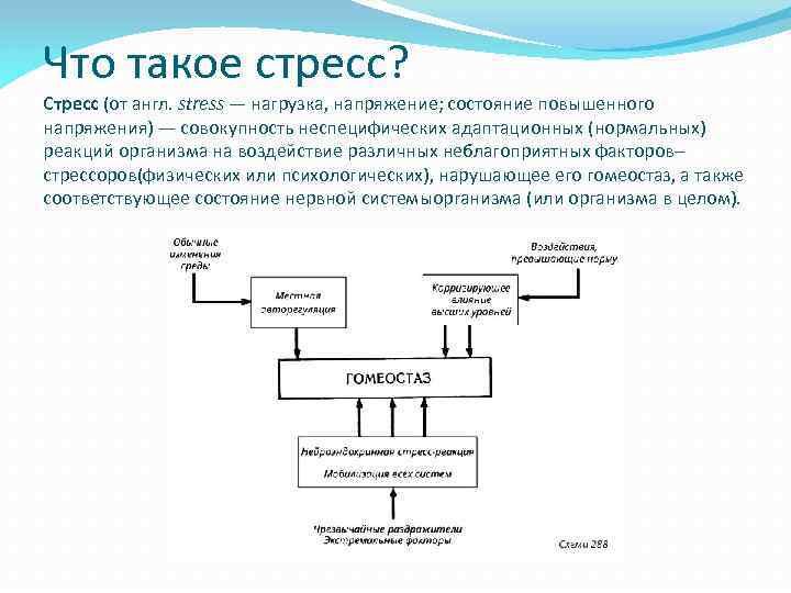 Что такое стресс? Стресс (от англ. stress — нагрузка, напряжение; состояние повышенного напряжения) —