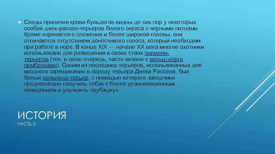  Следы прилития крови бульдогов видны до сих пор у некоторых особей джек-рассел-терьеров белого