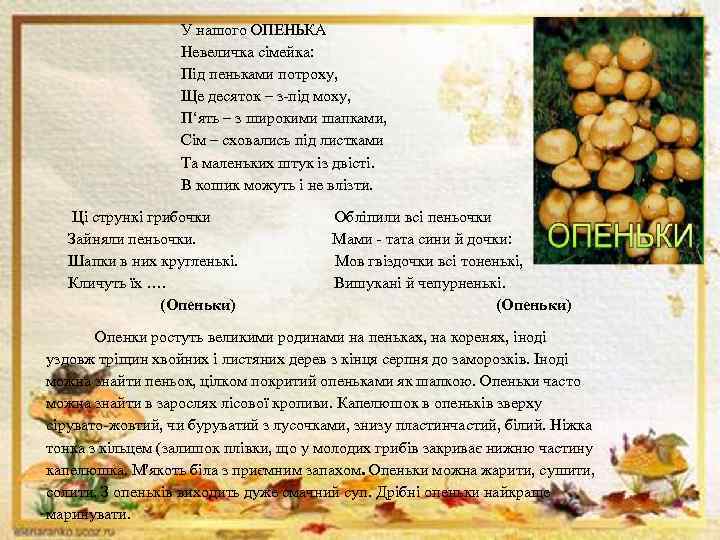 У нашого ОПЕНЬКА Невеличка сімейка: Під пеньками потроху, Ще десяток – з-під моху, П‘ять