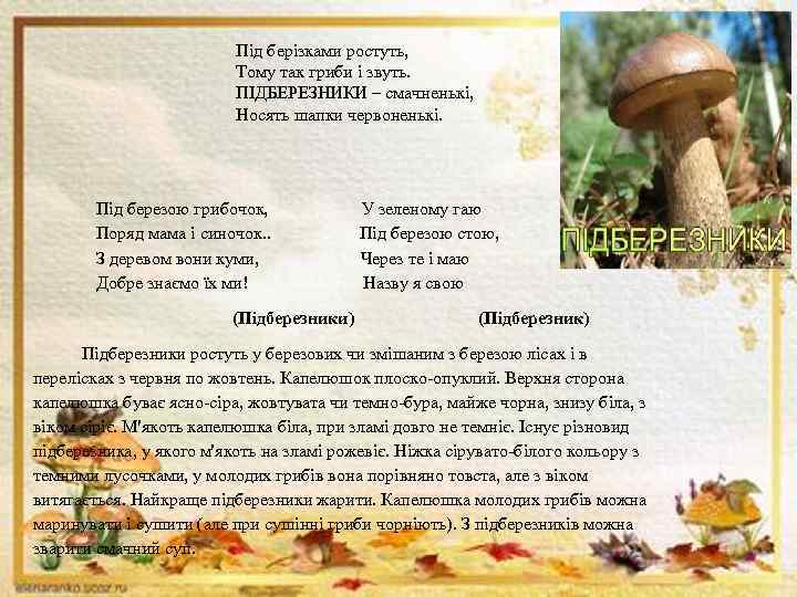 Під берізками ростуть, Тому так гриби і звуть. ПІДБЕРЕЗНИКИ – смачненькі, Носять шапки червоненькі.