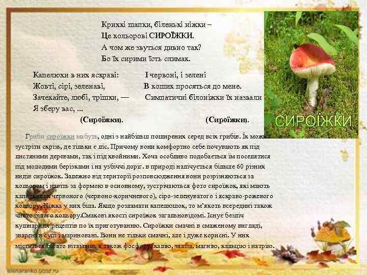 Крихкі шапки, біленькі ніжки – Це кольорові СИРОЇЖКИ. А чом же звуться дивно так?