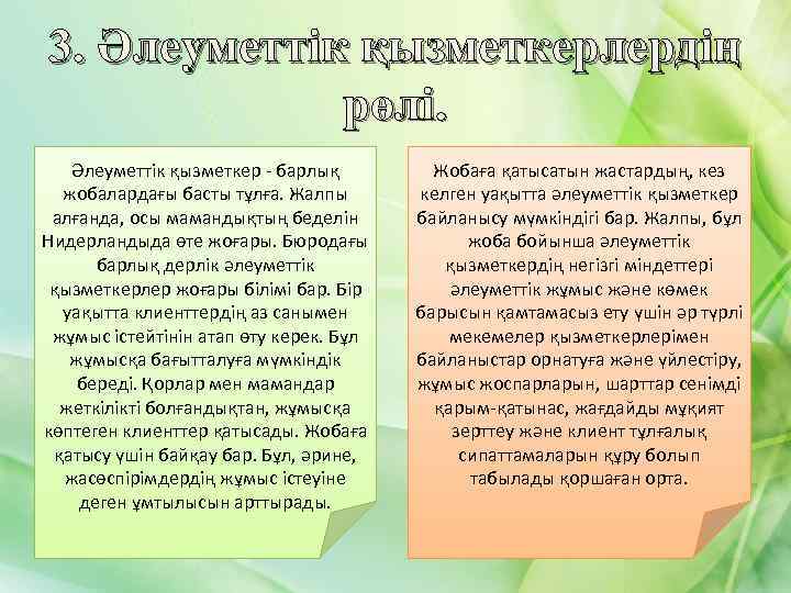 3. Әлеуметтік қызметкерлердің рөлі. Әлеуметтік қызметкер - барлық жобалардағы басты тұлға. Жалпы алғанда, осы