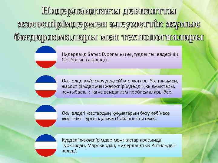 Нидерландтағы девиантты жасөспірімдермен әлеуметтік жұмыс бағдарламалары мен технологиялары Нидерланд Батыс Еуропаның ең гүлденген елдерінің