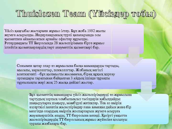 Thuislozen Team (Үйсіздер тобы) Үйсіз қаңғыбас жастармен жұмыс істеу. Бұл жоба 1992 жылы жүзеге