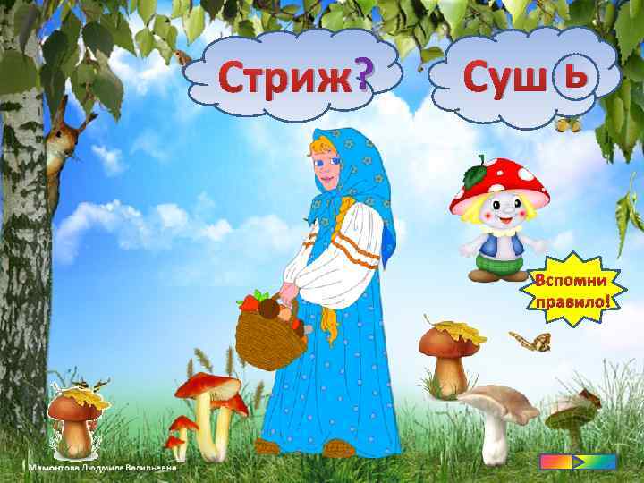 ? Стриж? ь Суш ? Вспомни правило! 