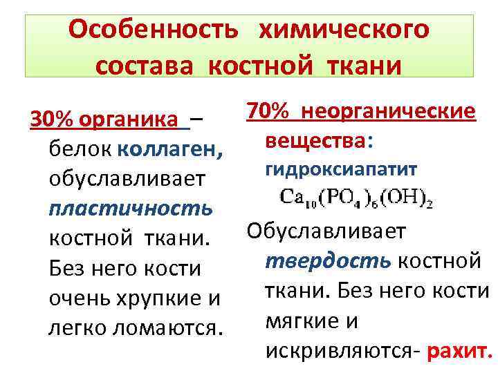 Особенность химического состава костной ткани 70% неорганические 30% органика – белок коллаген, вещества: гидроксиапатит