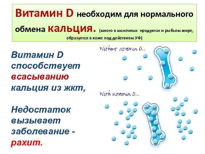 Витамин D необходим для нормального обмена кальция. (много в молочных продуктах и рыбьем жире,