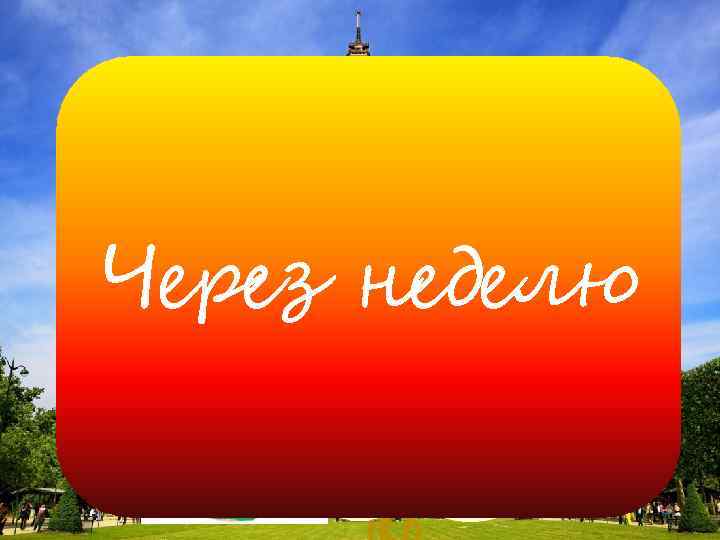 Через неделю Следующим рейсом в Чехию! 