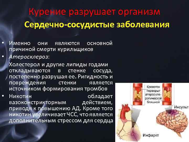 Курение разрушает организм Сердечно-сосудистые заболевания • Именно они являются основной причиной смерти курильщиков •