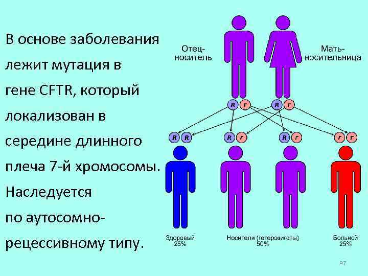 Основа заболеваний