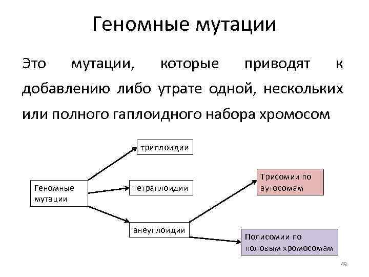 Геномные мутации Это мутации, которые приводят к добавлению либо утрате одной, нескольких или полного