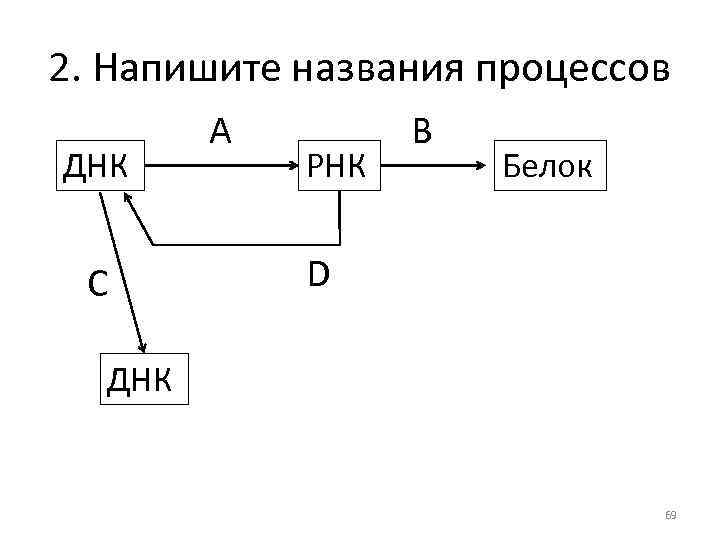 2. Напишите названия процессов ДНК C A РНК B Белок D ДНК 69 