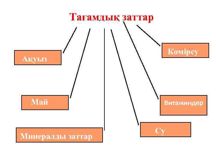 Тағамдық заттар Көмірсу Ақуыз Май Минералды заттар Витаминдер Су 