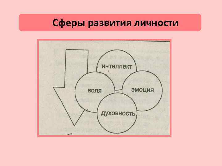 Сферы развития личности 
