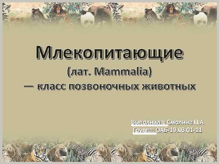 Млекопитающие (лат. Mammalia) — класс позвоночных животных Выполнила: Смолина П. А Группа: ОАБ-19. 03.