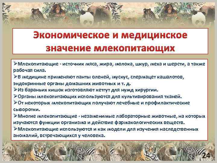 Экономическое и медицинское значение млекопитающих ØМлекопитающие источник мяса, жира, молока, шкур, меха и шерсти,