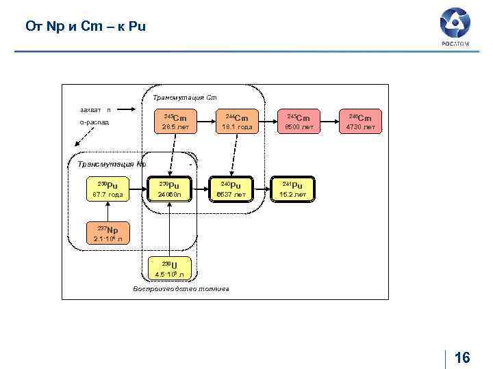 От Np и Cm – к Pu Трансмутация Cm захват n 243 Cm 244