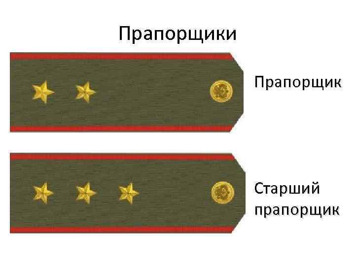 Звание генерал лейтенант сколько. Погоны прапорщика Российской армии. Старший прапорщик погоны армия.