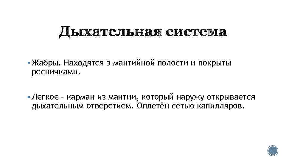 § Жабры. Находятся в мантийной полости и покрыты ресничками. § Легкое – карман из